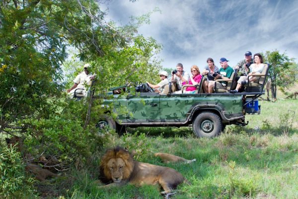 Safari Game Drive | Sabi Sabi Game Reserve, South Africa